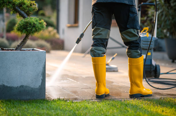 Best Local Pressure Washing Services  in Victor, ID